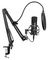 AU-A04 - Studio Spring Loaded Boom Arm Microphone Kit