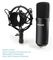 AU-A04 - Studio Spring Loaded Boom Arm Microphone Kit
