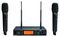 RU-8012DB+RU-G3TH CH38 - CH38 Dual Channel Wireless UHF Handheld System