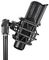 CM25 - 173.629UK - Studio Condenser Microphone