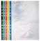 ECO093 - A4 Colour Spine Multi Punched Pockets, 100 Pack