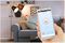 66774 - WiFi Smart Mains Socket