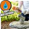 1044202 - Gorilla Glue, 60ml