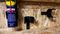 OM-CAN-BLK-2 - Aerosol Can Storage Holder Mounts - Black, 2 Pack