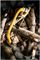 66-821 - 21" Pointed Bow / Tree Saw