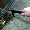 PHW - Patio Weeder Set, 2 Piece