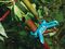 CLIPSET - 20mm & 40mm Garden Plant Clips, 10+10 Pack