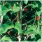 GSNETT3 - 4m x 1.7m Garden Plant Netting