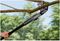 1000597 - UP53 Junior Garden Cutter / Tree Pruner