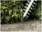 GE-CH 1846 LI - Power X-Change 52cm 15mm Gap 18V Li-Ion Cordless Hedge Trimmer - Bare Unit