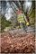 DCV100-XJ - 18V XR Li-Ion Cordless Compact Leaf Blower - Bare Unit