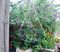 HB12G - 12" Hanging Basket