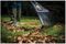 1001584 - XL Classic Plastic Leaf Rake