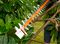 BEHTS501-GB - 60cm 25mm Gap 600W Electric Hedge Trimmer 230V