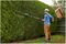 UNIVERSALHEDGEPOLE 18 BARE TOOL VERSION - 43cm 18V Li-Ion Cordless Hedge Trimmer Pole - Bare Unit