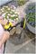 PS 30 WASH BRUSH - PS 30 Power Scrubber Surface Cleaning Brush