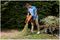 BCMW3318N-XJ - 33cm Twin 18V / 36V Li-Ion Cordless Lawn Mower - Bare Unit