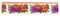 GPWFT - Window Fly Trap, 6 Pack
