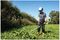 STR-41IN1A - 4 in 1 Petrol Hedge Trimmer, Pole Saw, Brush Cutter & Line Strimmer Garden Multi-Tool Set