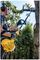 STR-41IN1A - 4 in 1 Petrol Hedge Trimmer, Pole Saw, Brush Cutter & Line Strimmer Garden Multi-Tool Set