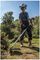 STR-41IN1A - 4 in 1 Petrol Hedge Trimmer, Pole Saw, Brush Cutter & Line Strimmer Garden Multi-Tool Set