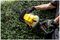 SHT-26-55 - 55cm 27mm Gap 26cc 2 Stroke Petrol Hedge Trimmer