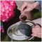 20100441 - Ericaceous High Performance Liquid Plant Food, 1L