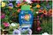 20100468 - Boost All Purpose Liquid Plant Feed, 1L