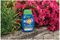 20100468 - Boost All Purpose Liquid Plant Feed, 1L