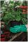 70105106 - Ultimate All-Round Gardening Gloves, Green - Medium