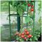 7418 - Garden Tomato Cage Plant Support