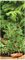 7418 - Garden Tomato Cage Plant Support