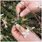 11580 - 15cm Garden Soft Twist Plant Ties, 50 Pack