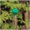 15420 - Garden Bamboo Cane Eye Guards, 8 Pack