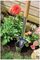 70100145 - Stainless Steel Long Handle Bulb Planter
