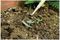70100169 - Stainless Steel Long Handle Oscillating Garden Hoe