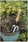 70100072 - Stainless Steel Garden Hand Fork