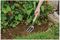 70100072 - Stainless Steel Garden Hand Fork