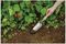 70100092 - Stainless Steel Hand Transplanting Trowel