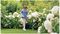 EASYGRASSCUT 18V-230 (CLASSIC GREEN) - 23cm 18V 2Ah Li-Ion Cordless Grass Trimmer Kit