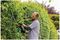 ADVANCEDHEDGECUT 65 (CLASSIC GREEN) - 65cm 34mm Gap 500W Electric Hedge Trimmer, Classic Green 230V
