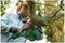 UNIVERSALCHAIN 35 (CLASSIC GREEN) - 35cm 1800W Electric Chainsaw, Classic Green 230V