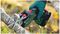 KEO 18V - Keo 18V 2Ah Li-Ion Cordless Branch & Shrub Garden Saw Kit