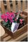 5160ST - Traditional Stainless Steel Versatility Trowel