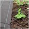 1455 - 1m x 25m Heavy Duty Weed Control Fabric Membrane