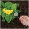 20100419 - All-Purpose Slow Release Plant Food Granules, 1.65kg Box