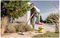 WD 2 PLUS - 12L 1000W Wet & Dry Vacuum Cleaner 230V
