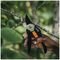 1057160 - Solid™ Bypass Pruner Secateurs P121