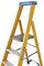 7170418 - 4 Tread Fibreglass Platform Step Ladder