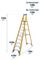 7171018 - 10 Tread Fibreglass Platform Step Ladder
